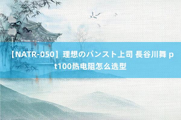 【NATR-050】理想のパンスト上司 長谷川舞 pt100热电阻怎么选型