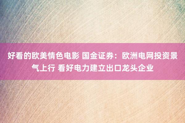 好看的欧美情色电影 国金证券：欧洲电网投资景气上行 看好电力建立出口龙头企业