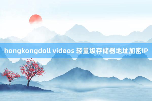 hongkongdoll videos 轻量级存储器地址加密IP