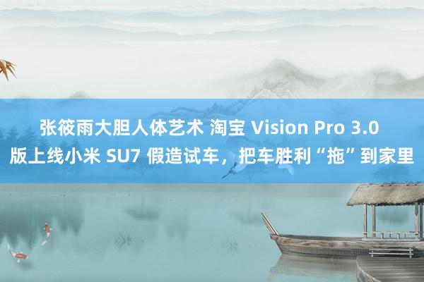 张筱雨大胆人体艺术 淘宝 Vision Pro 3.0 版上线小米 SU7 假造试车，把车胜利“拖”到家里